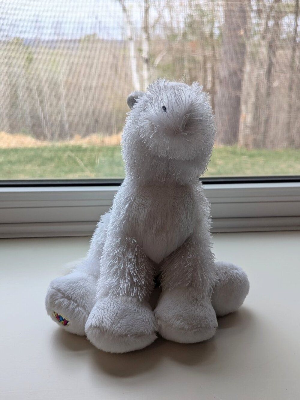 Webkinz - American Albino - no code